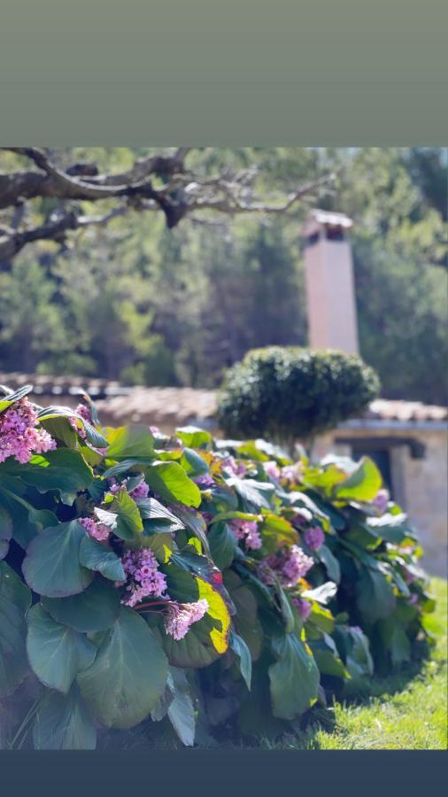 Masia Cap Del Roc Vallcebre Dış mekan fotoğraf