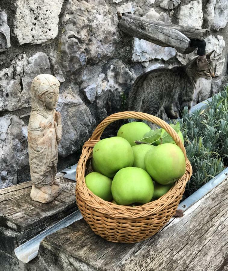 Masia Cap Del Roc Vallcebre Dış mekan fotoğraf