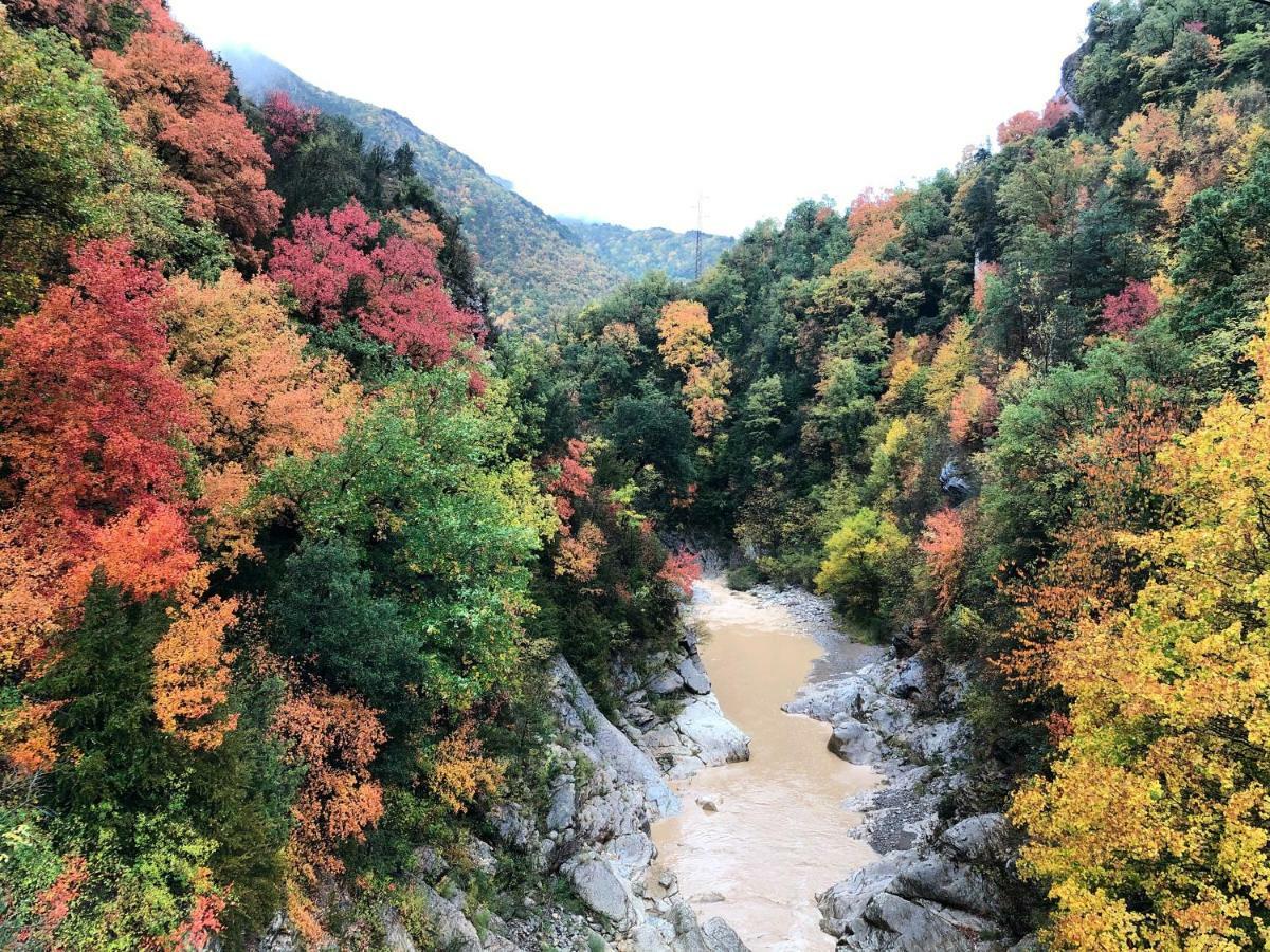 Masia Cap Del Roc Vallcebre Dış mekan fotoğraf