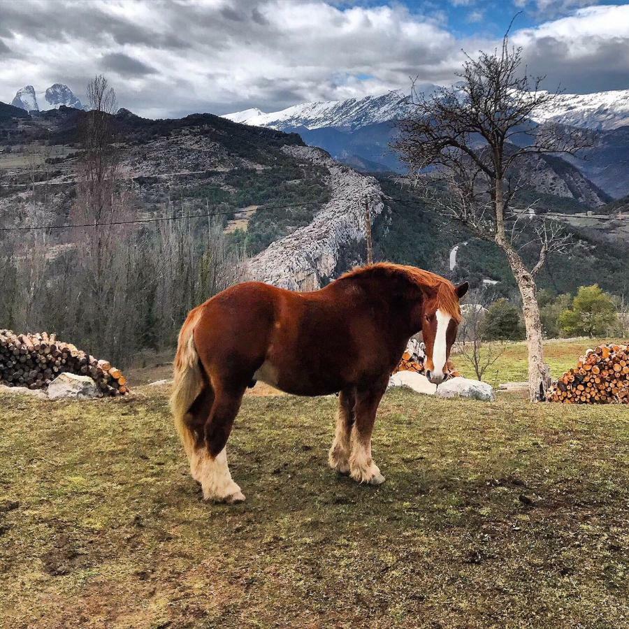 Masia Cap Del Roc Vallcebre Dış mekan fotoğraf